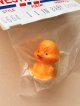 卵に入ったひよこちゃん